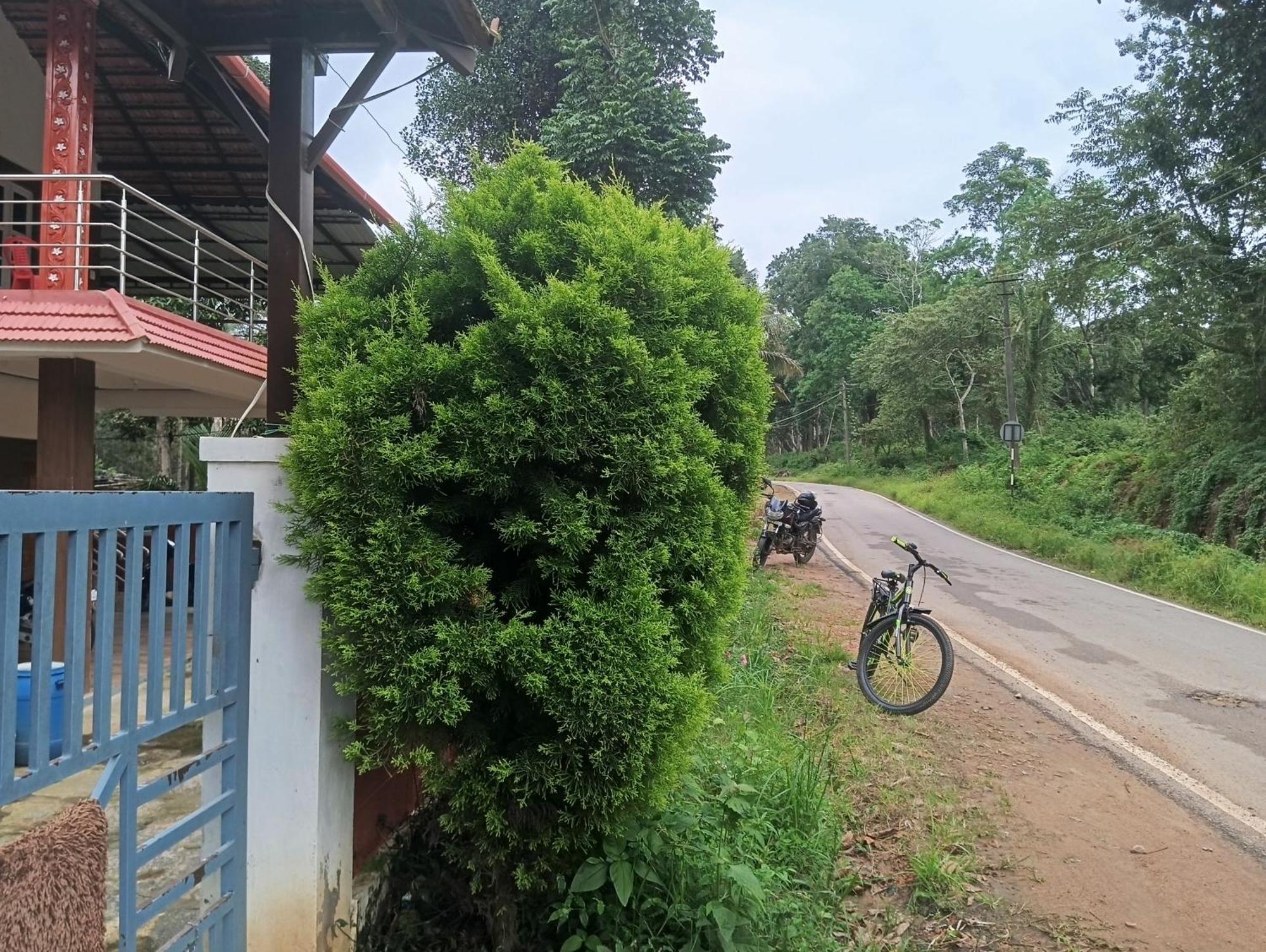 Вилла Elephant Path Coorg 3Bhk Suntikoppa Экстерьер фото